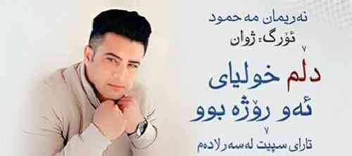 نریمان محمود دلم خولیای ئه و روژه